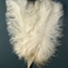Feather Fan; 1920s; LDFAN2006.26