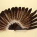 Feather Fan; LDFAN1989.12