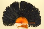 Feather Fan; c. 1920; LDFAN2009.59