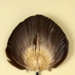 Fixed Fan; 1960s; LDFAN2003.269.Y