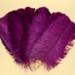 Feather Fan; c. 1920; LDFAN2011.110