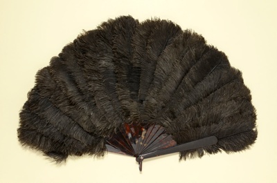 Feather Fan & Box; Edward & Jones; c. 1880; LDFAN1992.26.1 & LDFAN1992.26.2