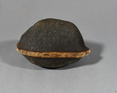 Ventifact rock.

 image item