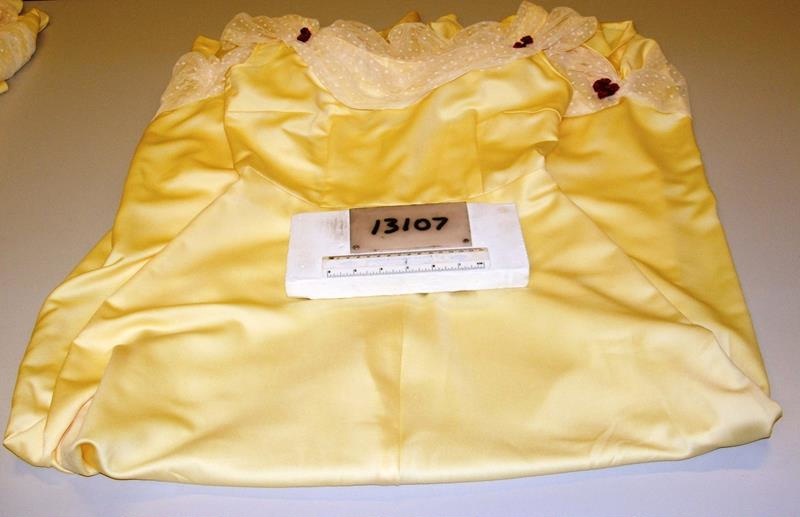 Dress costume R13107 EHive dress-costume-r13107-ehive