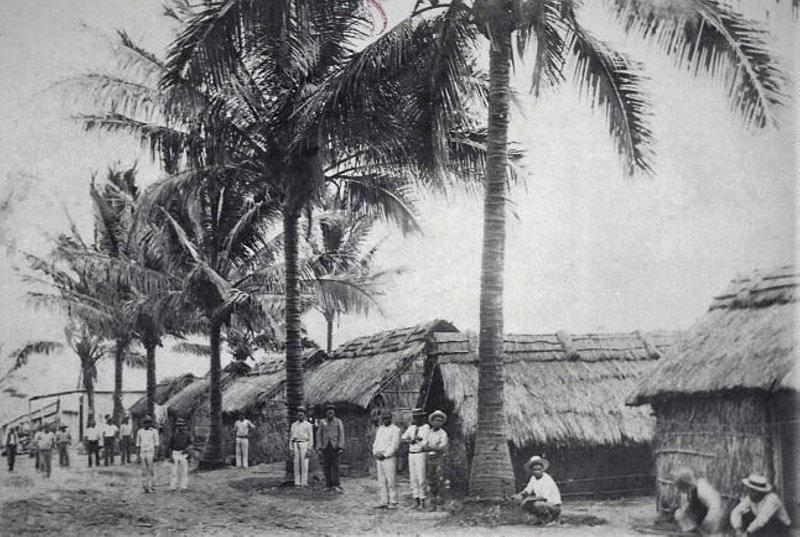 Photograph of Islander Worker's huts, on sugar cane farm. ; Wilson ...