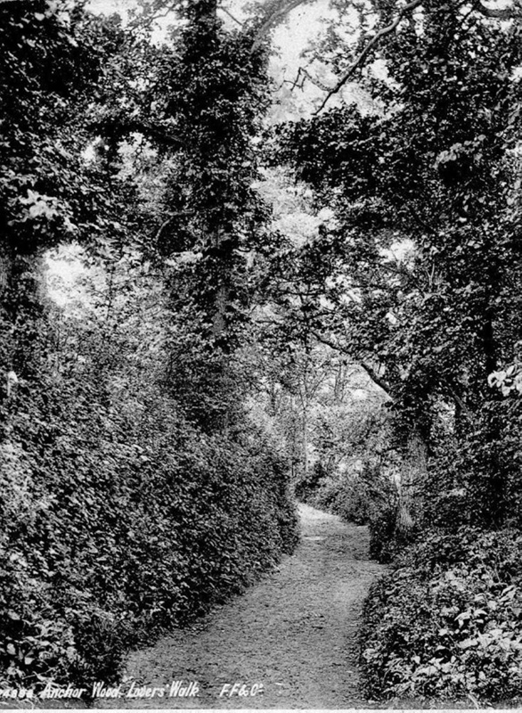 Anchor Wood, Barnstaple; Frith F and Co Ltd; 86 eHive