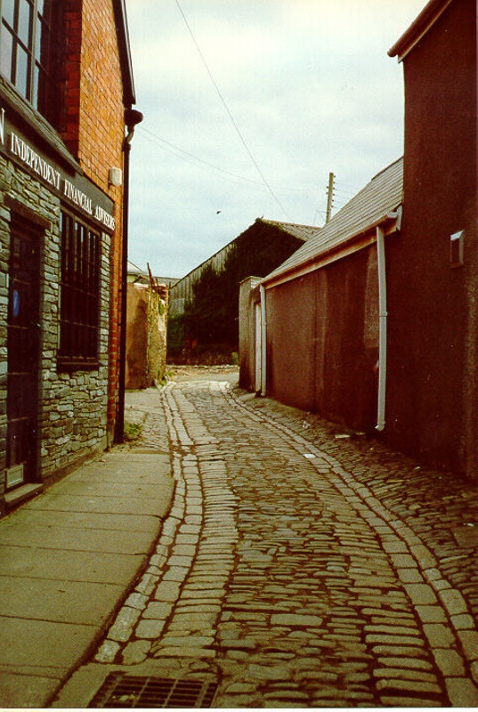Green Lane, Barnstaple; D.M. Smith; 1989; 664 eHive