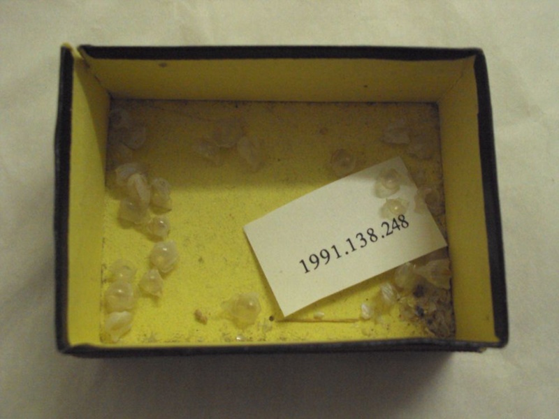 1991-138-248-ehive