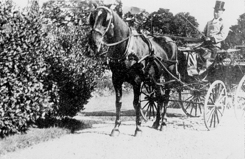 Henry Gammon, Coachman for Mortlock-Brown with coach; 374 | eHive