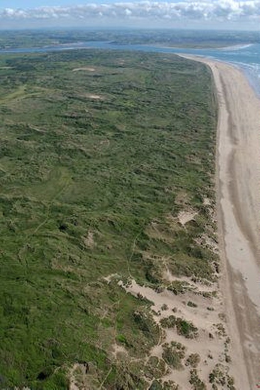 Aerial view looking south along the beach, showing the length of dune ...