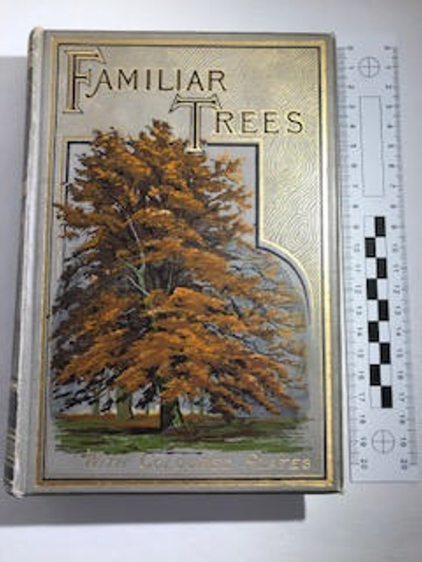 familiar-trees-by-g-s-boulger-boulger-g-s-ilfcm-28261-1-ehive