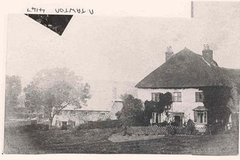 North Tawton - Court Green with cottages.; 1900; 4147 | eHive