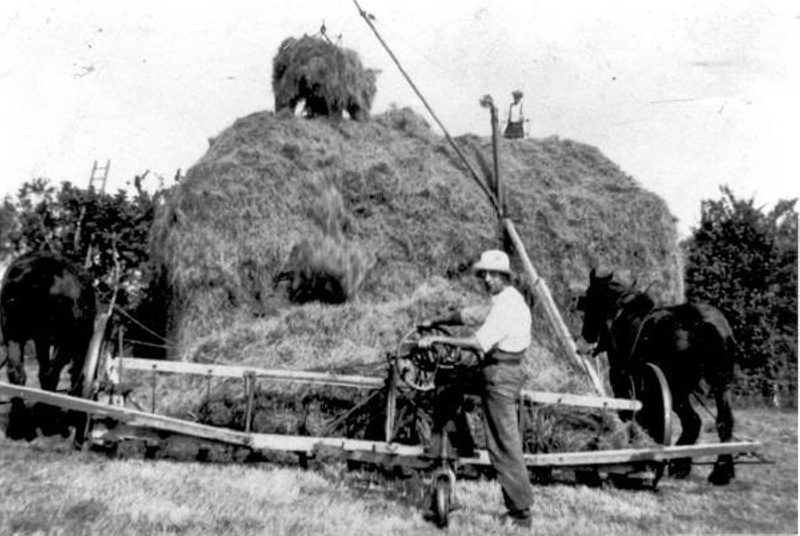 Witheridge Farming: hay sweep in progress on Dart Raffe Farm in the
