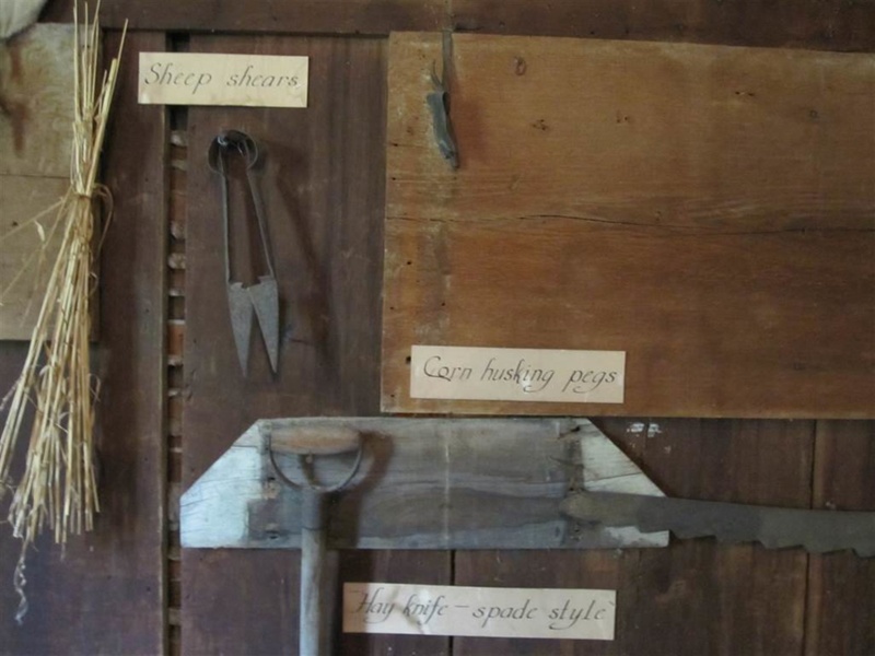 Corn husking peg; AG0007 eHive