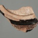 Fragment of a skyphos; Fifth Century BCE; 179.95