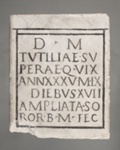 Funerary Inscription; 1st Century AD; 113.71