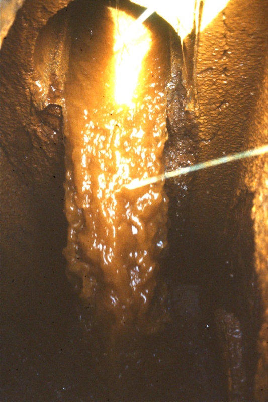 Sludge build up in pipes; unknown; February 1982; BMHC_13928 eHive