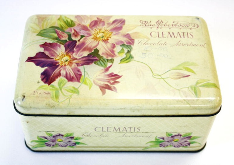 Chocolate Clematis / Trellis Grows on You Check spelling or type a