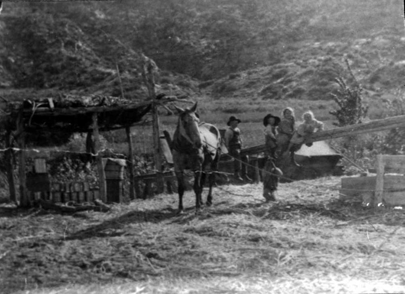 Molasses Mill; 1930 eHive