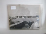 Photograph  of  Yachts  on  Oulton broad; LOWMS.2025.064