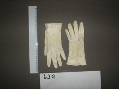 gloves; SH1975-629