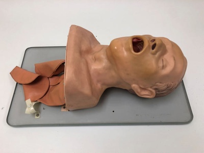 Equipment: Adult Intubation Model; Ca 1960s; AR#3162