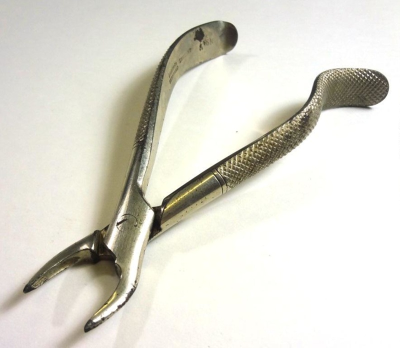 Dental Extraction Forceps; Ash; AR3638 eHive