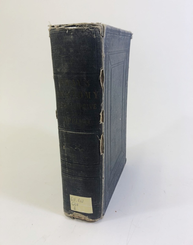 Book: Gray's Anatomy Descriptive and Applied; 1918; AR#5136