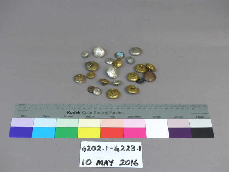 Ehive Button; Unknown; Unknown; 4211.1 | eHive