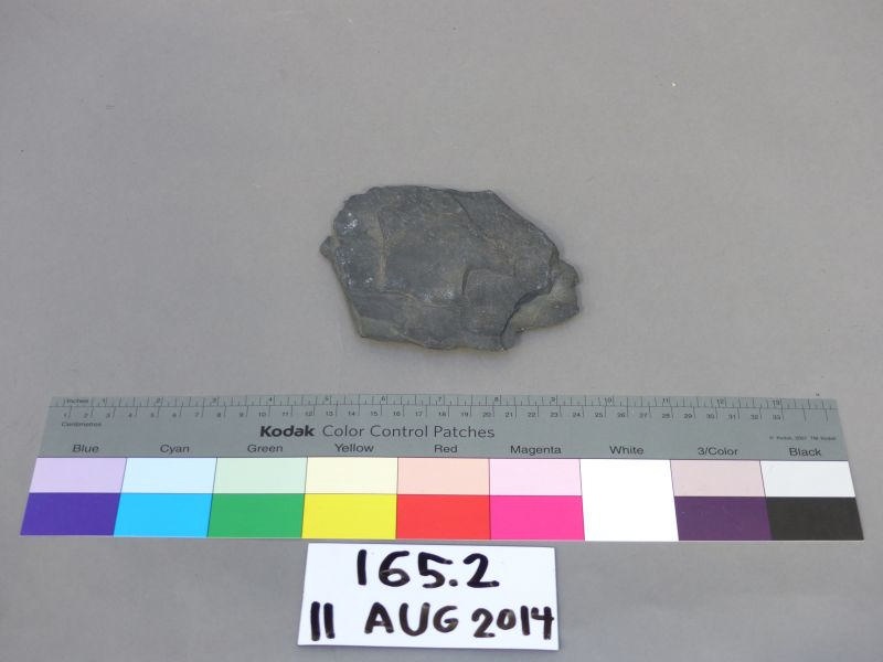 Geological Specimen; 165.2 On Nz Museums