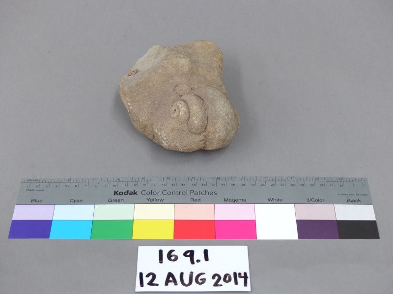 Geological Specimen; 169.1 