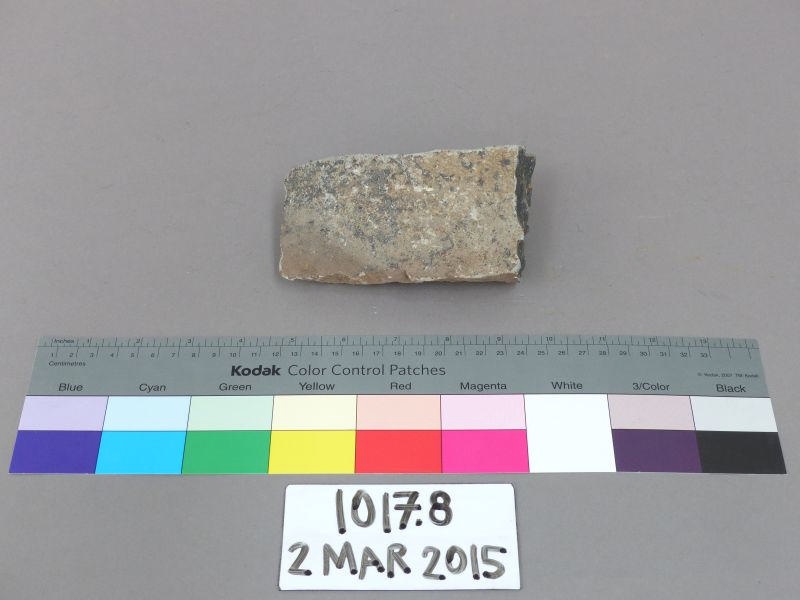 Geological specimen; 1017.8 on NZ Museums