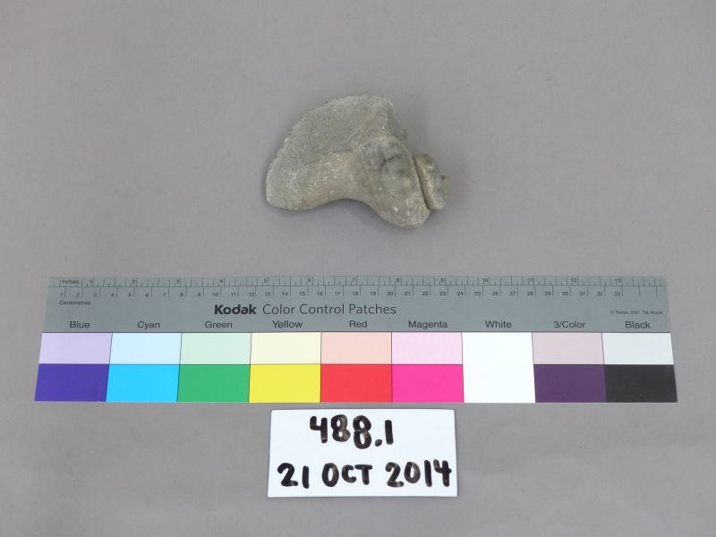 Geological specimen; 488.1 on NZ Museums