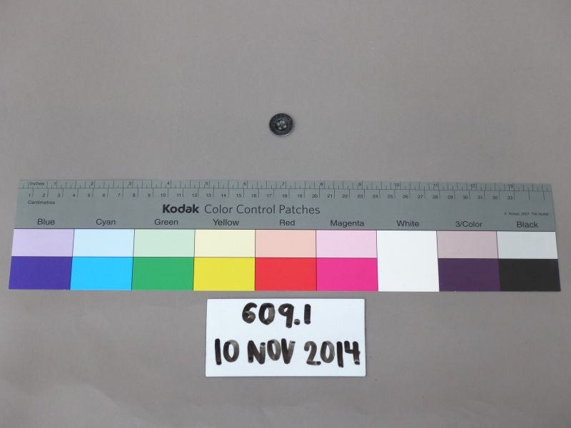 Object 609 Button; Unknown; Unknown; 609.1 | eHive