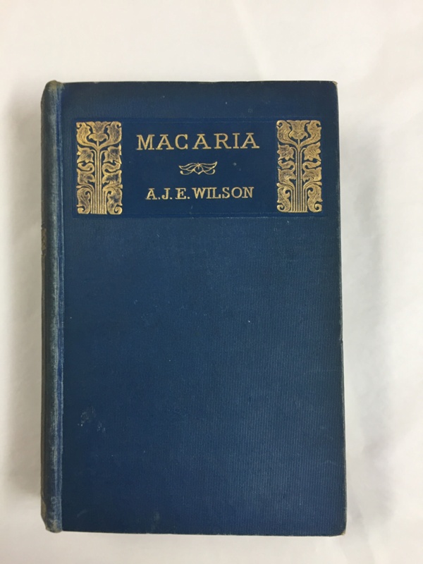 Macaria Augusta J Evans Wilson EHive