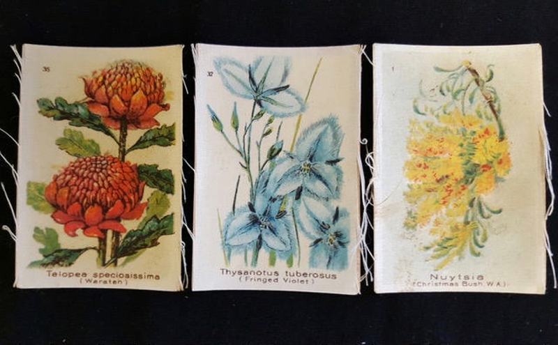 australian cigarette cards Cards, Cigarette; W.D. & H.O. Wills (Australia) Ltd; c1917; 000/198