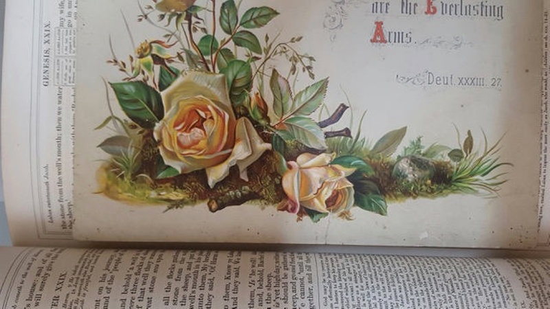 The Comprehensive Family Bible ; David Davidson; 017/024 | eHive