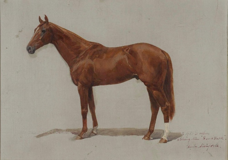 Study of a Racehorse; Martin STAINFORTH, 1866-1957; 1918; 1940_44 | eHive