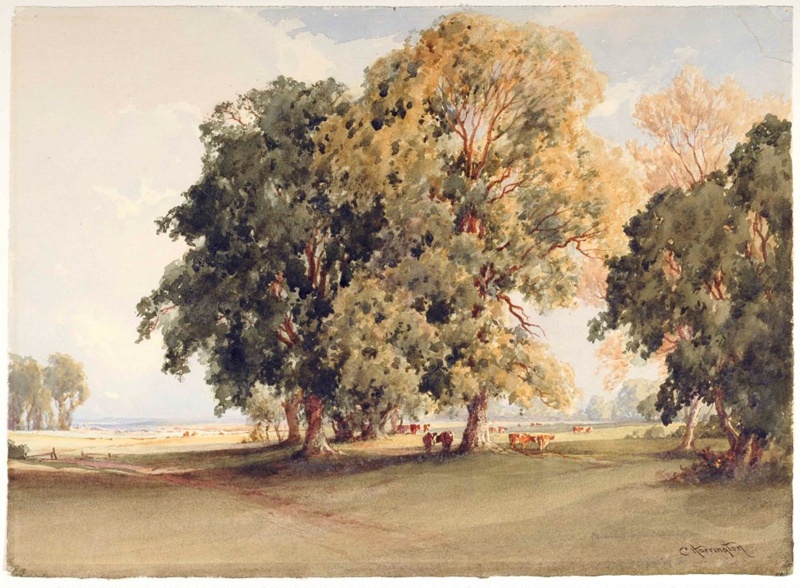 Meadows at Arundel; C. HARRINGTON; n.d.; 1930_10 eHive