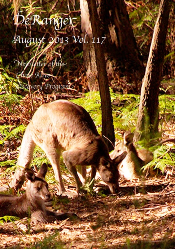 Deranger DeRanger No 117 August 2013; 2015.33.117 | eHive