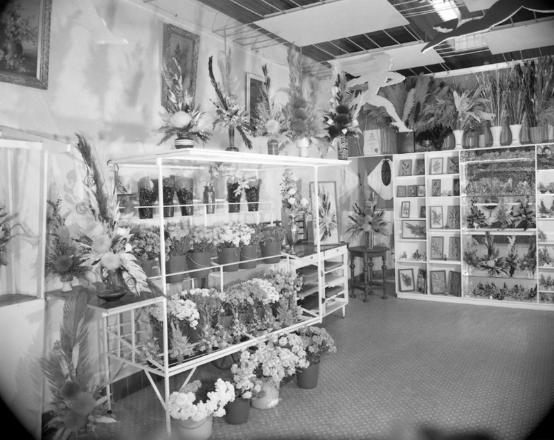 Taradon interior and florist shop; Graham Southam; 1970; 04.193.00 eHive