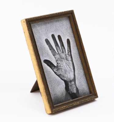 Dhamarra (Hand), Venessa Possum