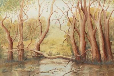 South Australian Swamps; Strickland, Rita