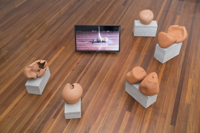 Risk: Pendulum Actions (arc 3/2015); Warburton, Toni; 2015; BCC WBN 001