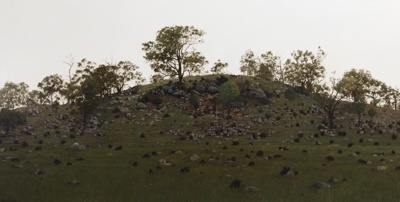 Kanimbla Hillside; Benifer, Patrick; 1999; BCC BNR 001