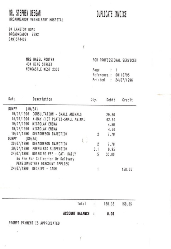 personal papers vet invoice receipt 1995 ph 1068 on ehive
