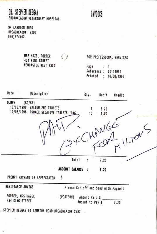 personal papers vet invoice receipt 1999 ph 1071 on ehive