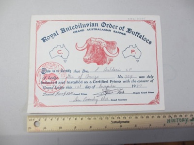 Certificate - Royal Antediluvian Order of Buffaloes; Royal Antediluvian Order of Buffaloes - Lodge headquarters; 1/11/1971; OB210255