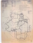 Parish map of Ulmarrah County of Wellington, 1970; 1970; OB220368