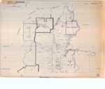 Map of Tambaroora
County of Wellington
; OB220374